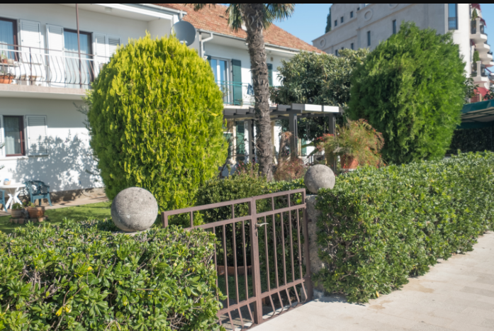 Amenagement paysager